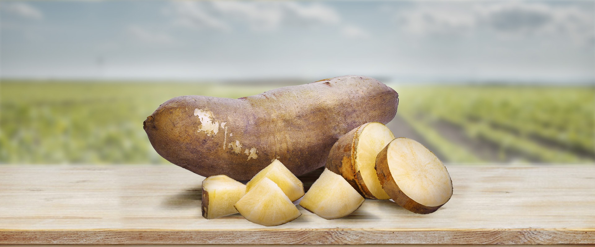 Superfood Sweet Tooth Bundle