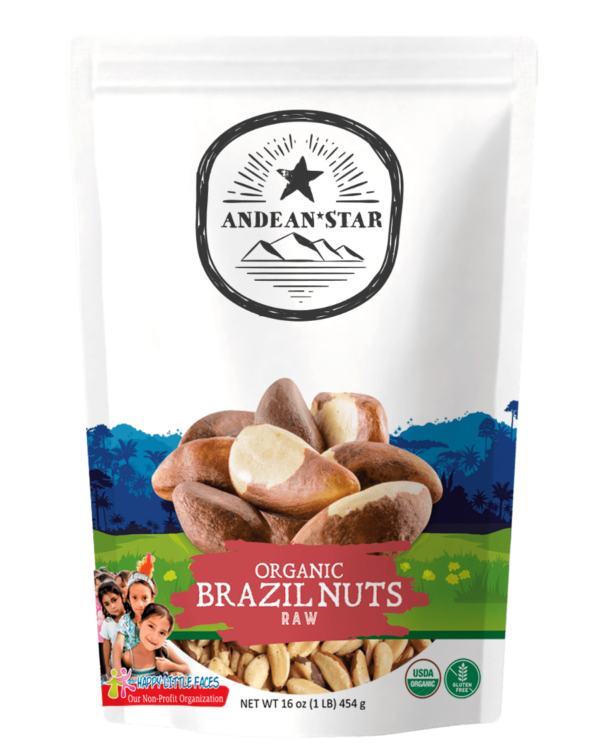 Organic Brazil Nuts  Non-GMO & Gluten-Free Organic Brazil Nuts