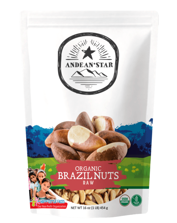 Organic Brazil Nuts